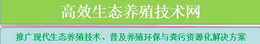 高效生態養殖技術網